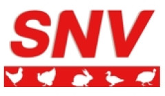 SNV